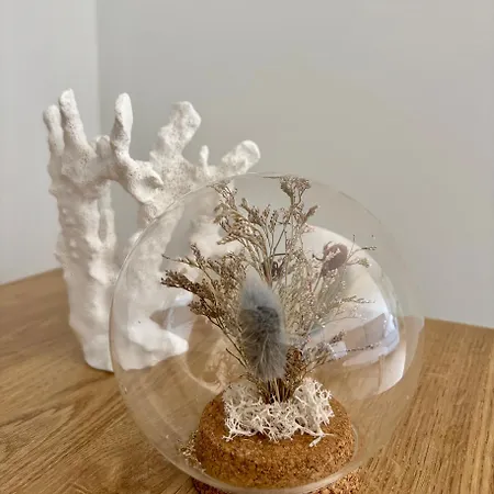 Adarve Centro Historico