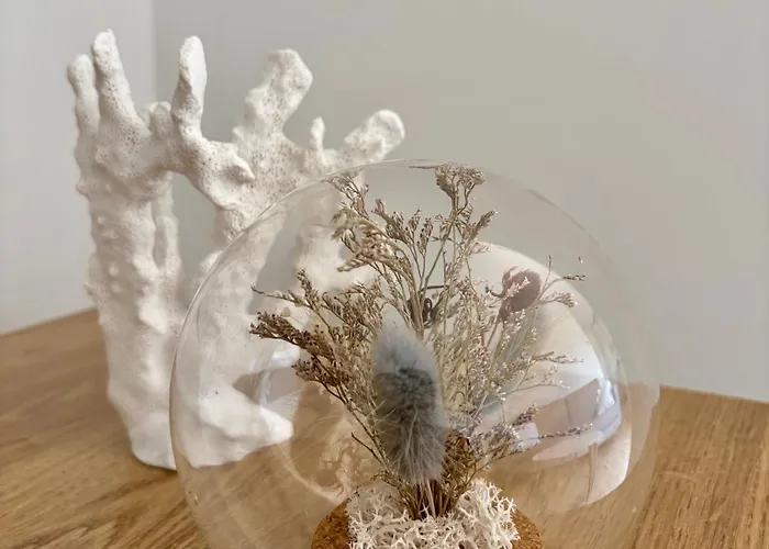 Adarve Centro Historico